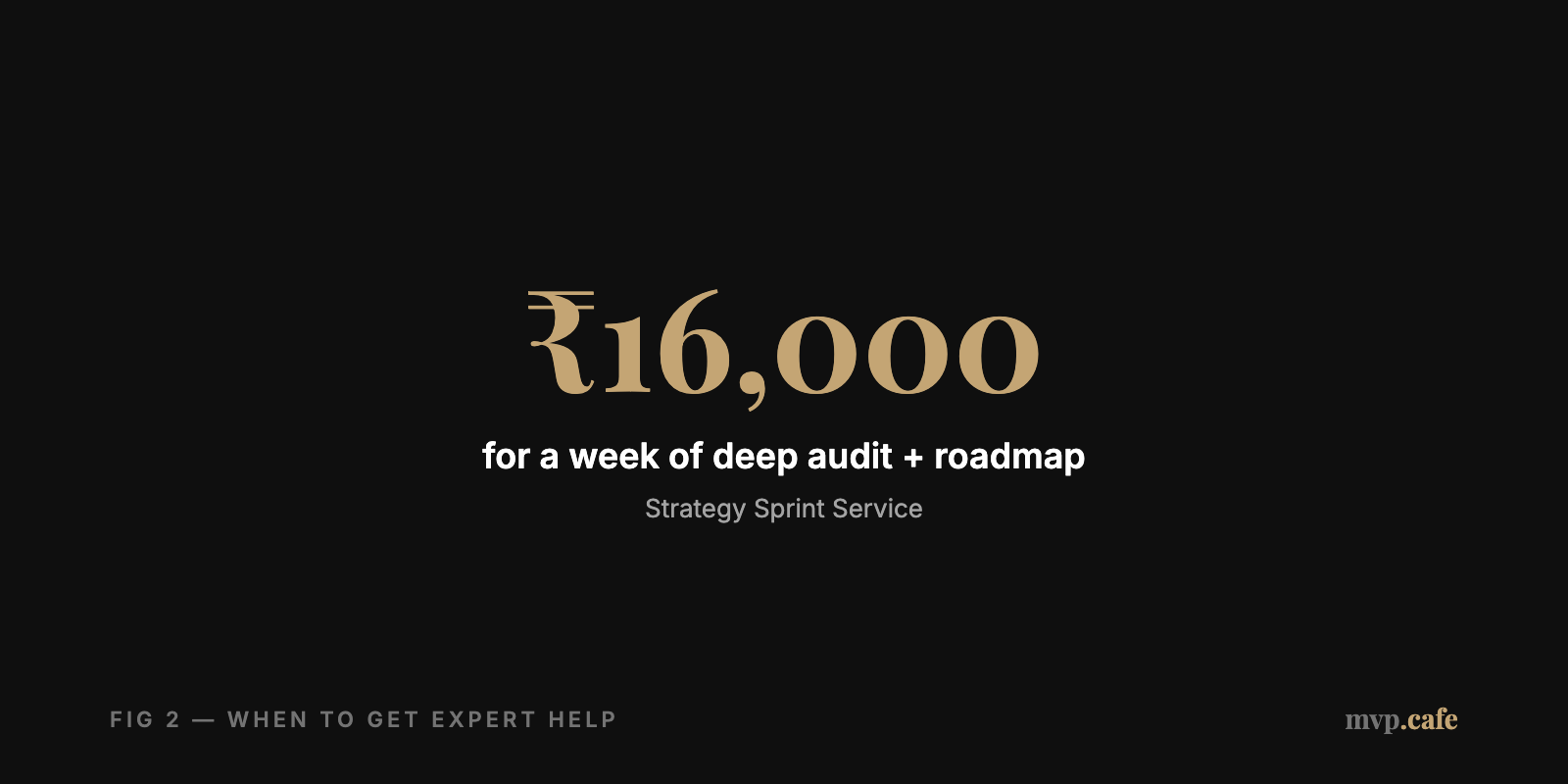 Expert Audit Cost — ₹16,000