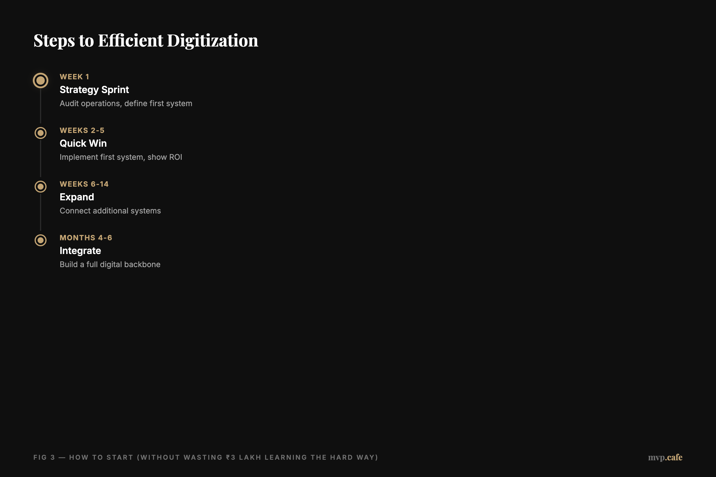 Steps to Efficient Digitization